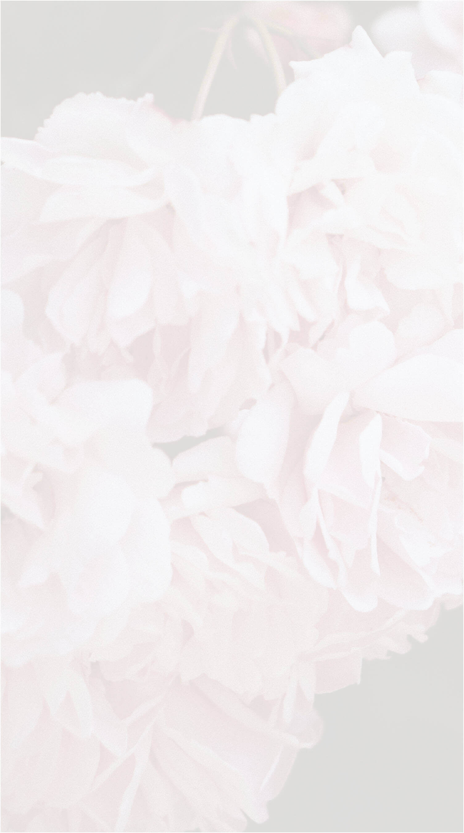 Photo of a pink flower background