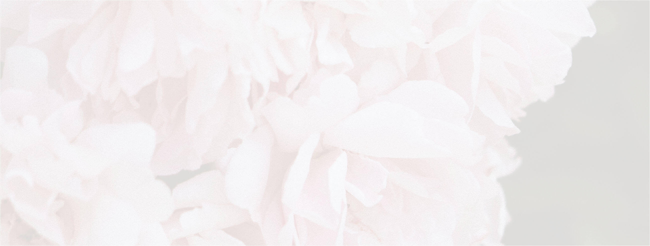 Photo of a pink flower background